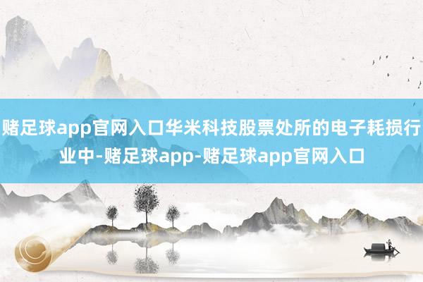 赌足球app官网入口华米科技股票处所的电子耗损行业中-赌足球app-赌足球app官网入口