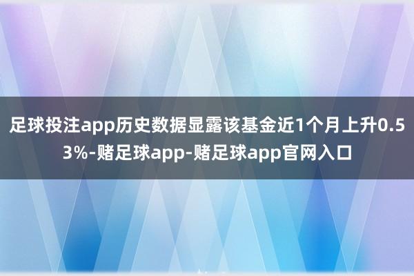 足球投注app历史数据显露该基金近1个月上升0.53%-赌足球app-赌足球app官网入口