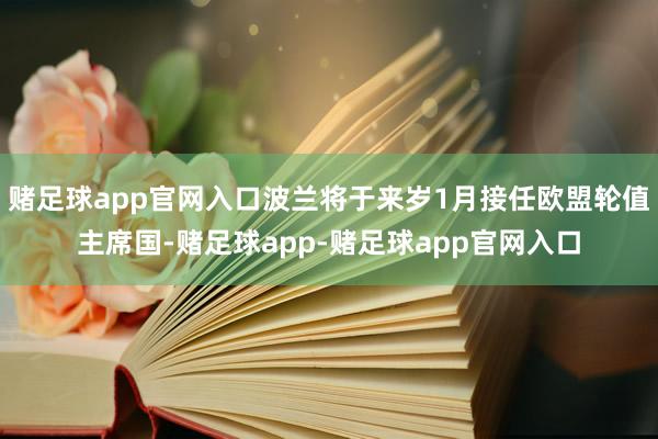 赌足球app官网入口波兰将于来岁1月接任欧盟轮值主席国-赌足球app-赌足球app官网入口