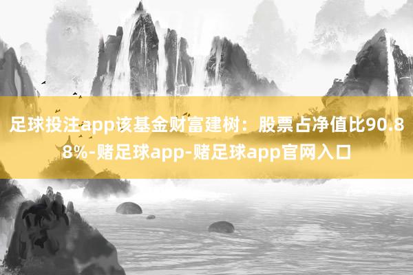 足球投注app该基金财富建树：股票占净值比90.88%-赌足球app-赌足球app官网入口