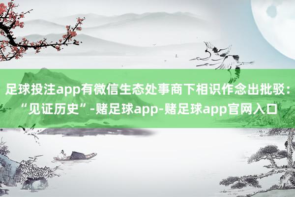 足球投注app有微信生态处事商下相识作念出批驳：“见证历史”-赌足球app-赌足球app官网入口