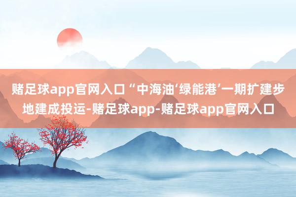 赌足球app官网入口　　“中海油‘绿能港’一期扩建步地建成投运-赌足球app-赌足球app官网入口