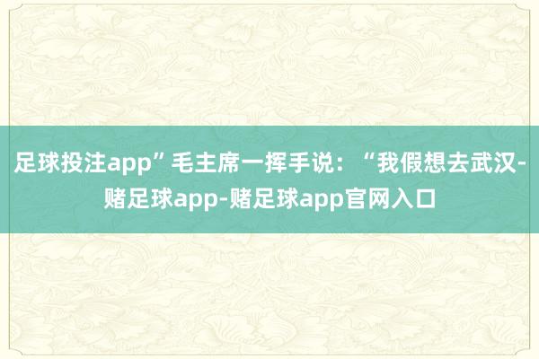 足球投注app”毛主席一挥手说：“我假想去武汉-赌足球app-赌足球app官网入口