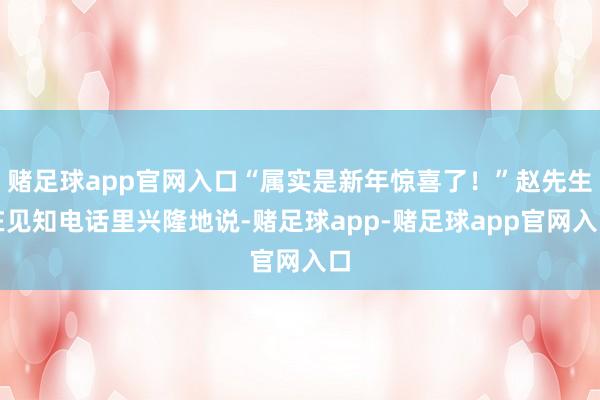 赌足球app官网入口“属实是新年惊喜了！”赵先生在见知电话里兴隆地说-赌足球app-赌足球app官网入口