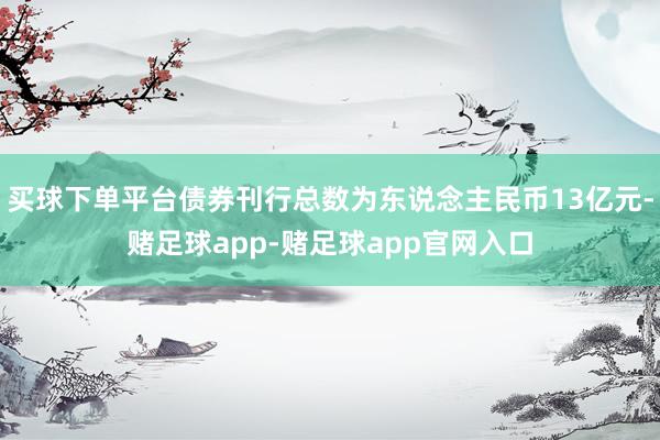买球下单平台债券刊行总数为东说念主民币13亿元-赌足球app-赌足球app官网入口