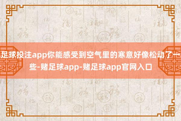 足球投注app你能感受到空气里的寒意好像松动了一些-赌足球app-赌足球app官网入口