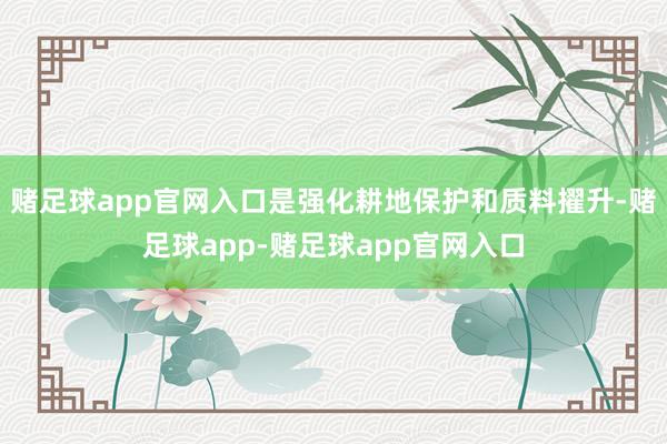 赌足球app官网入口是强化耕地保护和质料擢升-赌足球app-赌足球app官网入口