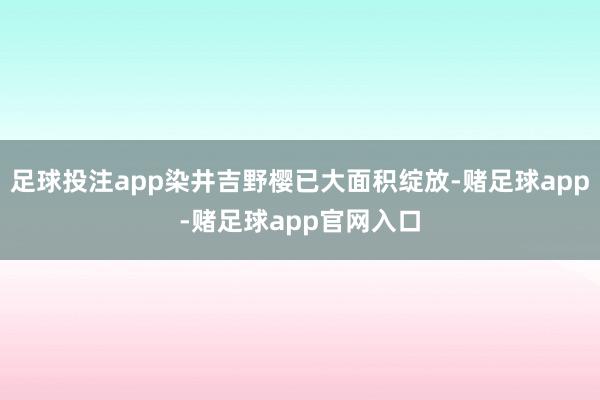 足球投注app染井吉野樱已大面积绽放-赌足球app-赌足球app官网入口