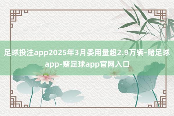 足球投注app2025年3月委用量超2.9万辆-赌足球app-赌足球app官网入口