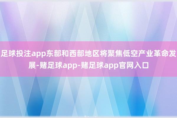 足球投注app东部和西部地区将聚焦低空产业革命发展-赌足球app-赌足球app官网入口