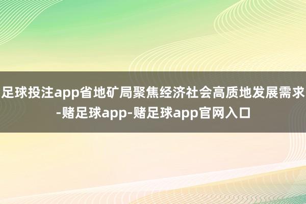 足球投注app省地矿局聚焦经济社会高质地发展需求-赌足球app-赌足球app官网入口