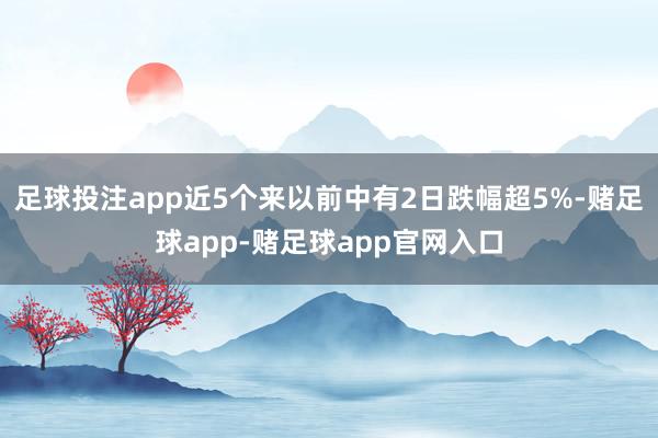足球投注app近5个来以前中有2日跌幅超5%-赌足球app-赌足球app官网入口