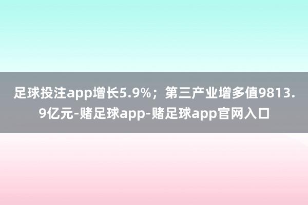 足球投注app增长5.9%；第三产业增多值9813.9亿元-赌足球app-赌足球app官网入口