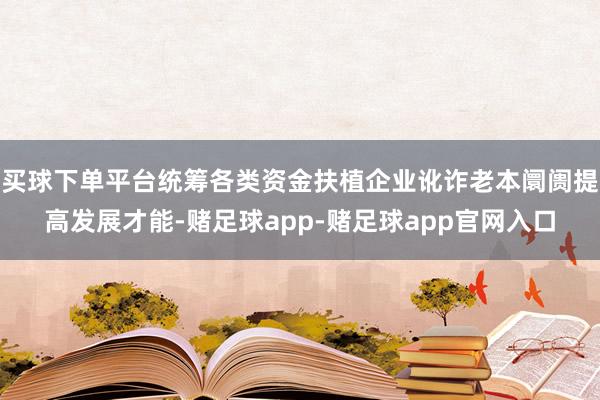 买球下单平台统筹各类资金扶植企业讹诈老本阛阓提高发展才能-赌足球app-赌足球app官网入口