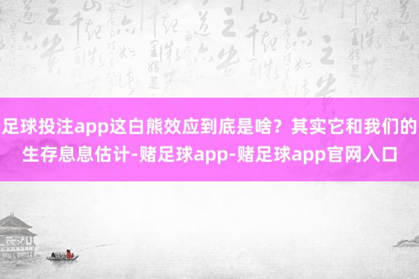 足球投注app这白熊效应到底是啥？其实它和我们的生存息息估计-赌足球app-赌足球app官网入口