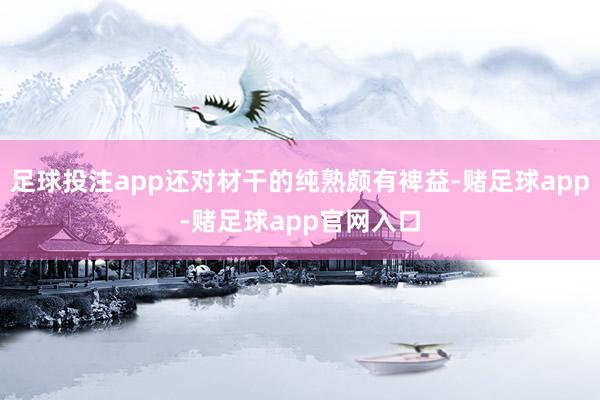 足球投注app还对材干的纯熟颇有裨益-赌足球app-赌足球app官网入口