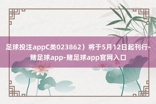 足球投注appC类023862）将于5月12日起刊行-赌足球app-赌足球app官网入口