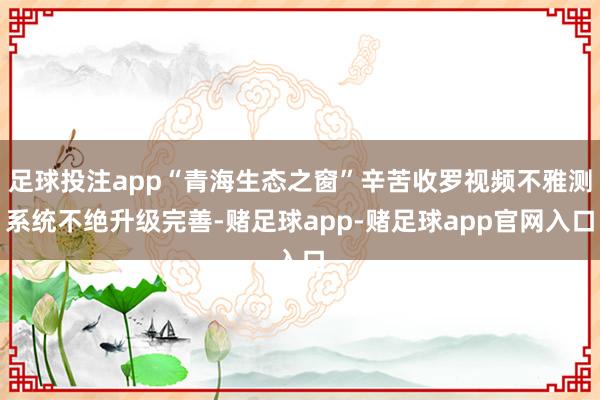 足球投注app“青海生态之窗”辛苦收罗视频不雅测系统不绝升级完善-赌足球app-赌足球app官网入口
