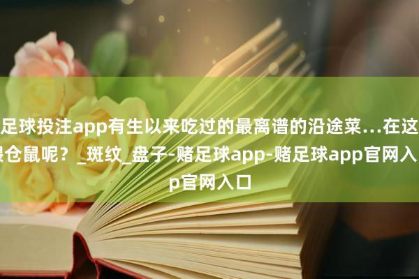 足球投注app有生以来吃过的最离谱的沿途菜…在这喂仓鼠呢？_斑纹_盘子-赌足球app-赌足球app官网入口