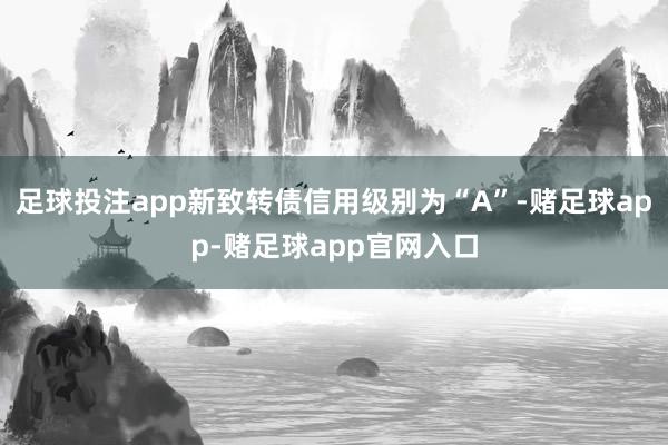 足球投注app新致转债信用级别为“A”-赌足球app-赌足球app官网入口