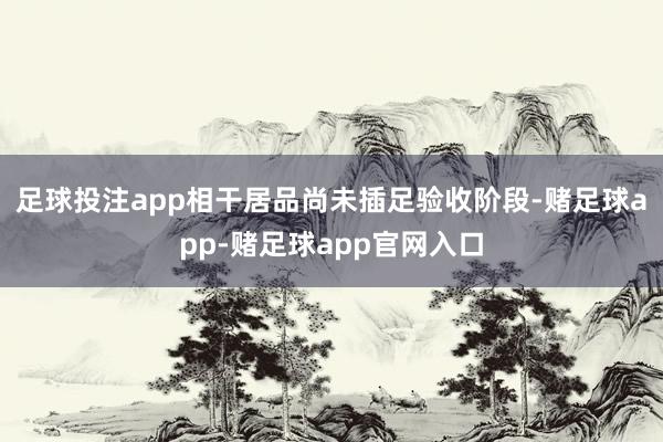 足球投注app相干居品尚未插足验收阶段-赌足球app-赌足球app官网入口