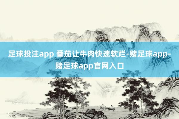 足球投注app 番茄让牛肉快速软烂-赌足球app-赌足球app官网入口