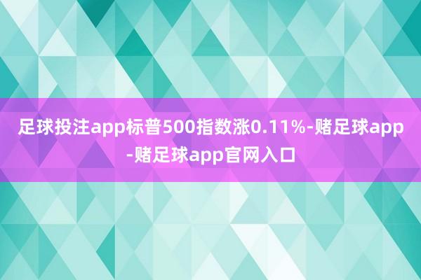 足球投注app标普500指数涨0.11%-赌足球app-赌足球app官网入口