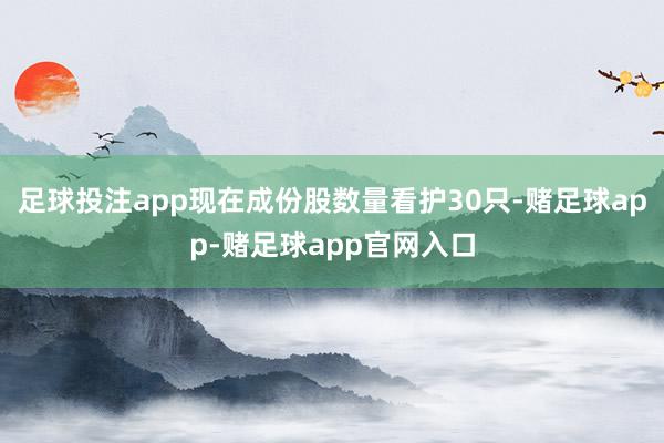 足球投注app现在成份股数量看护30只-赌足球app-赌足球app官网入口