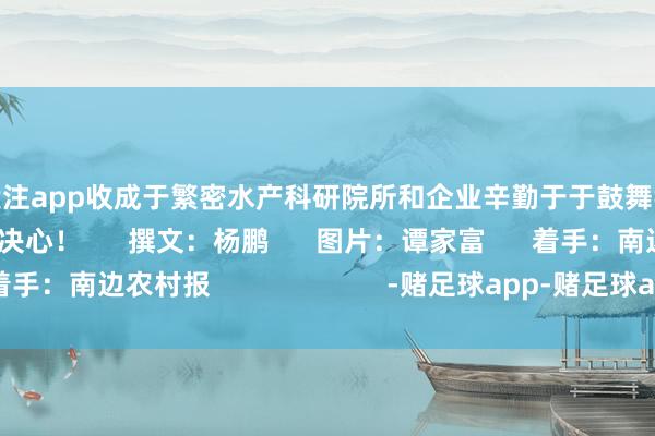 足球投注app收成于繁密水产科研院所和企业辛勤于于鼓舞我国水产种业的信心和决心！      撰文：杨鹏      图片：谭家富      着手：南边农村报                       -赌足球app-赌足球app官网入口