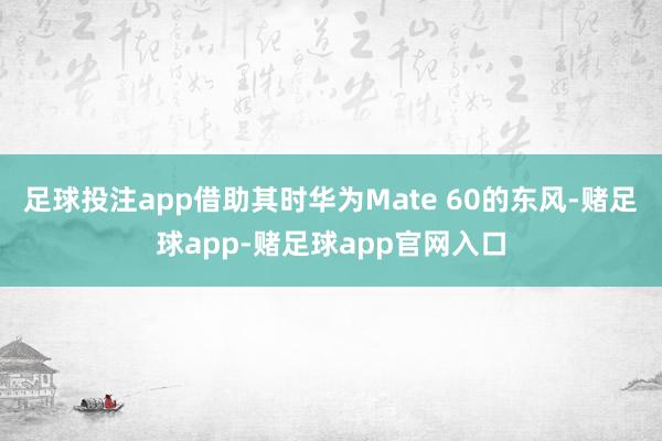 足球投注app借助其时华为Mate 60的东风-赌足球app-赌足球app官网入口
