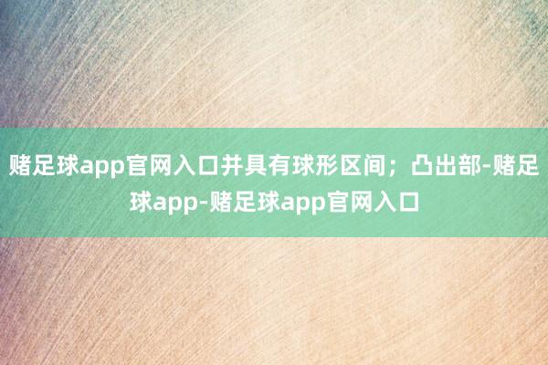 赌足球app官网入口并具有球形区间;凸出部-赌足球app-赌足球app官网入口