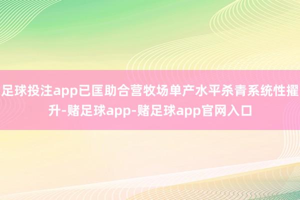 足球投注app已匡助合营牧场单产水平杀青系统性擢升-赌足球app-赌足球app官网入口