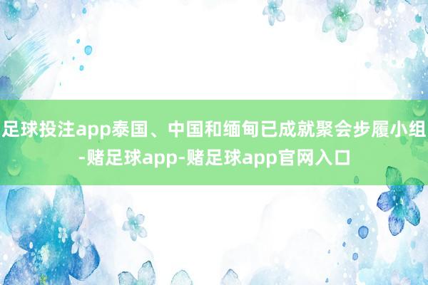 足球投注app泰国、中国和缅甸已成就聚会步履小组-赌足球app-赌足球app官网入口