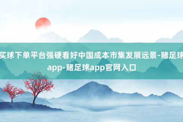 买球下单平台强硬看好中国成本市集发展远景-赌足球app-赌足球app官网入口