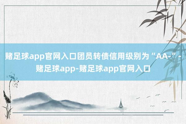 赌足球app官网入口团员转债信用级别为“AA-”-赌足球app-赌足球app官网入口