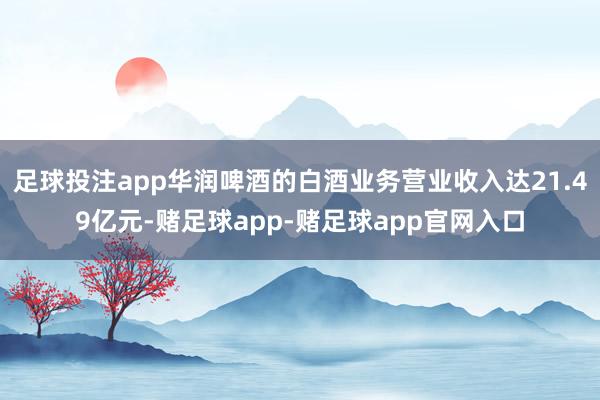 足球投注app华润啤酒的白酒业务营业收入达21.49亿元-赌足球app-赌足球app官网入口