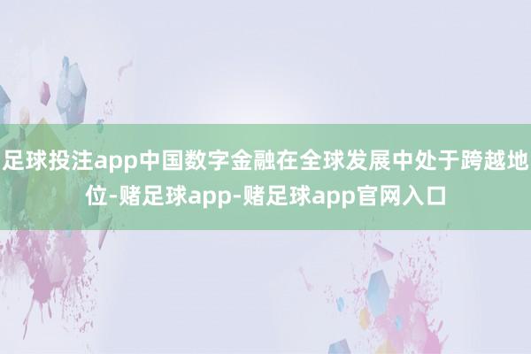 足球投注app中国数字金融在全球发展中处于跨越地位-赌足球app-赌足球app官网入口