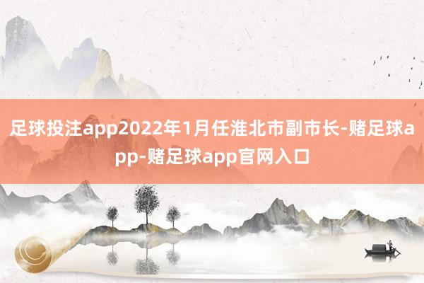 足球投注app2022年1月任淮北市副市长-赌足球app-赌足球app官网入口